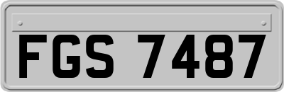FGS7487