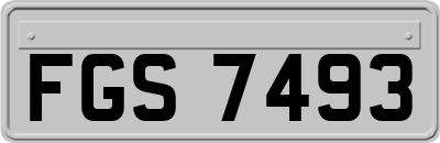FGS7493