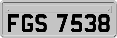 FGS7538