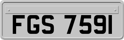 FGS7591