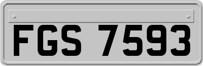 FGS7593