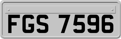 FGS7596
