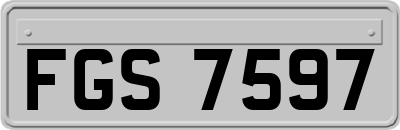 FGS7597