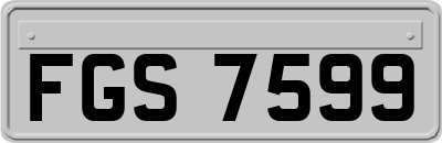 FGS7599