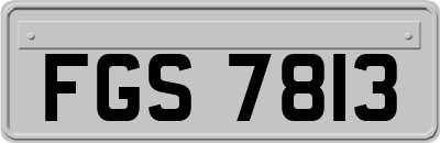 FGS7813