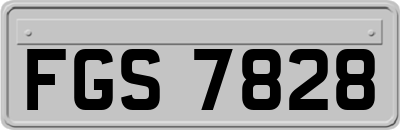 FGS7828
