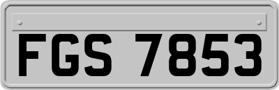 FGS7853