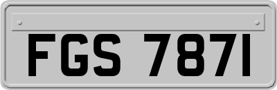 FGS7871