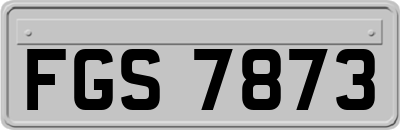 FGS7873