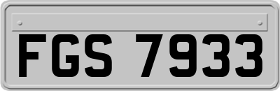FGS7933