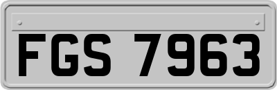 FGS7963