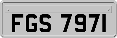 FGS7971