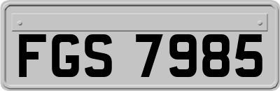 FGS7985