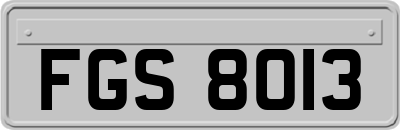 FGS8013