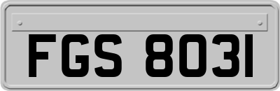 FGS8031