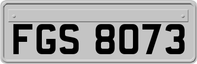 FGS8073