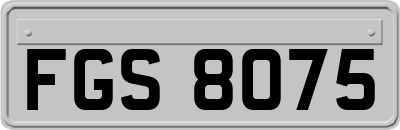 FGS8075