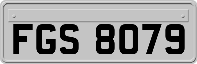 FGS8079