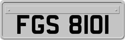FGS8101