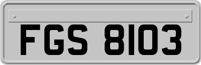 FGS8103