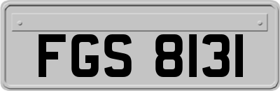 FGS8131