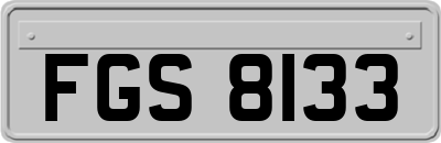 FGS8133