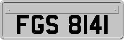 FGS8141