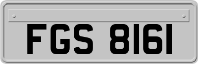 FGS8161