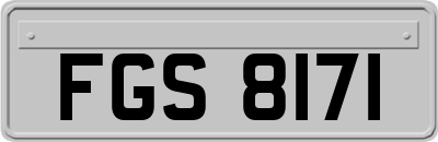 FGS8171