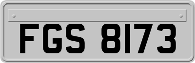 FGS8173