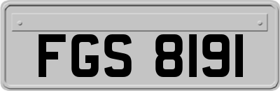 FGS8191