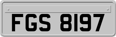 FGS8197