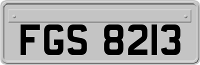 FGS8213