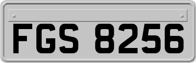FGS8256