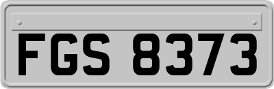FGS8373
