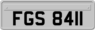 FGS8411