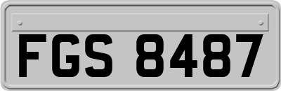 FGS8487