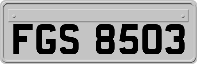 FGS8503