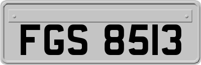 FGS8513