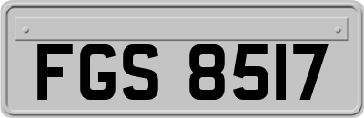 FGS8517