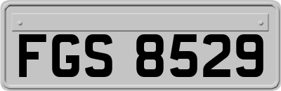 FGS8529