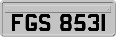 FGS8531