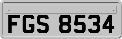 FGS8534