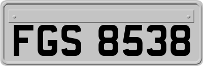 FGS8538