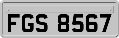 FGS8567