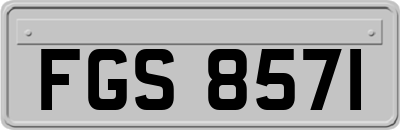 FGS8571