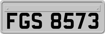FGS8573