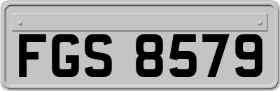 FGS8579