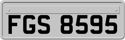 FGS8595