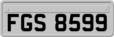 FGS8599